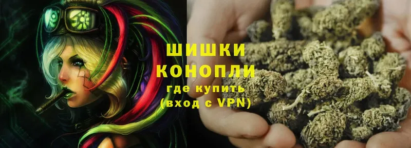 Марихуана White Widow  MEGA ссылки  Иннополис  купить закладку 